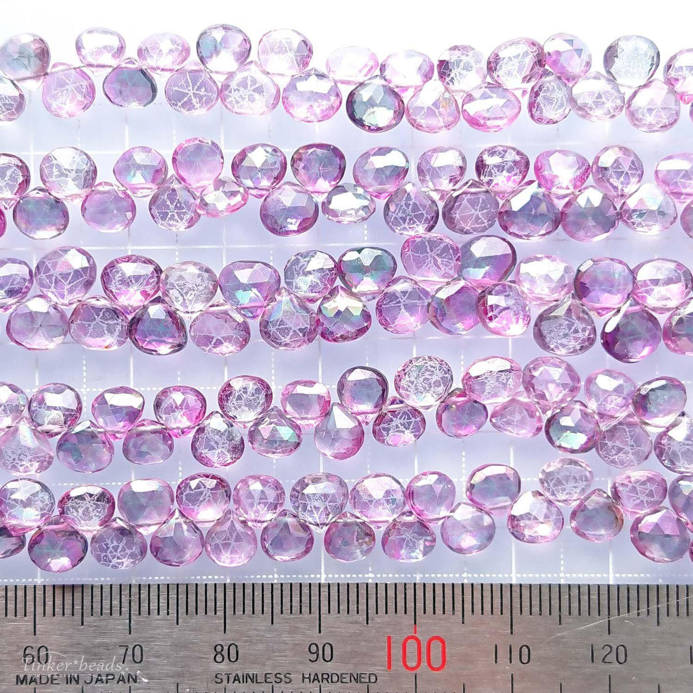 ミズキの探索　湖の秘宝　psa10 世界に5枚　GEM MT10 ミズキの探索 湖の秘宝 psa10 世界に5枚 GEM MT10